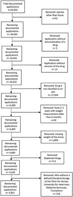 Antimicrobial Usage in Horses: The Use of Electronic Data, Data Curation, and First Results